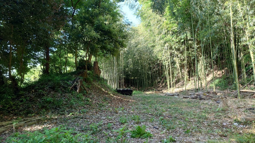 登城口から登ったところ