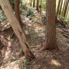 大手山道の土橋