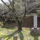 石碑と北曲輪の空堀