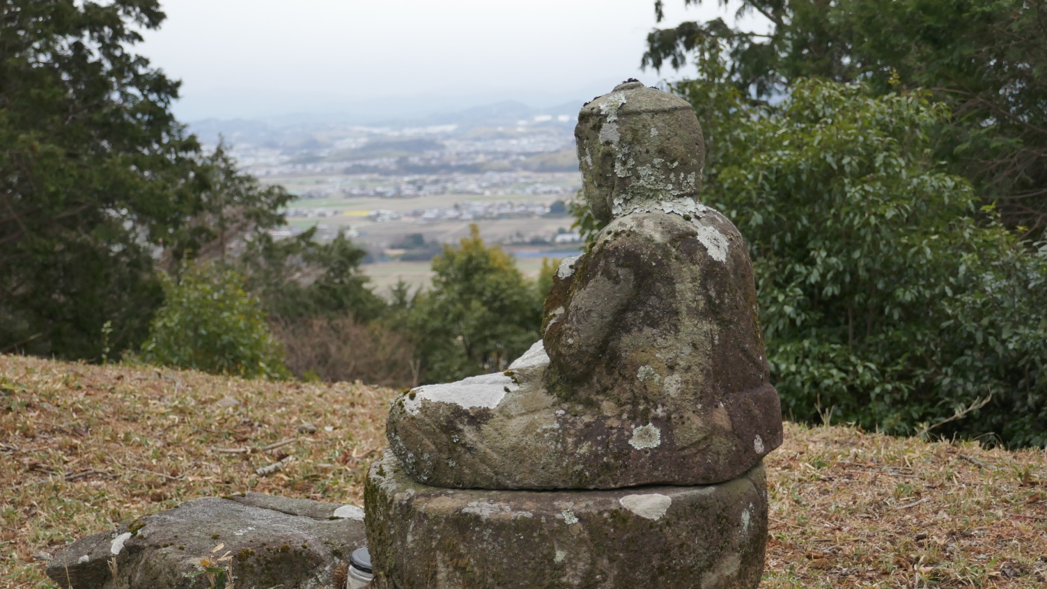 下界は楽しそうだなぁ