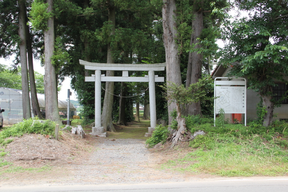 御城稲荷神社鳥居と案内板