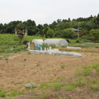 ３郭内部と２郭法面土塁切岸