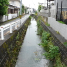 堀跡の様な水路