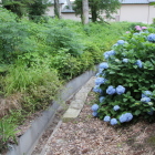 東側の堀跡の水路