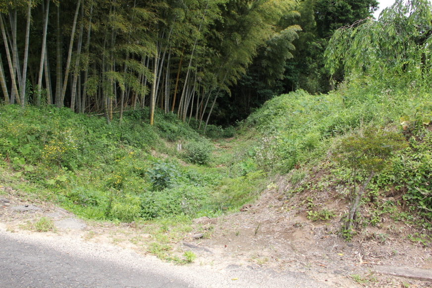 空堀と土塁東側