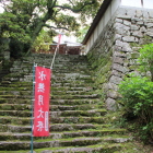 参道大石階段と両脇西垣