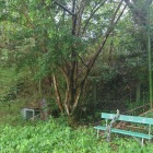 神社裏の土塁の塹壕