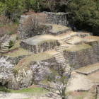 菱櫓門跡から見た大矢倉跡