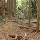 東の曲輪の土塁