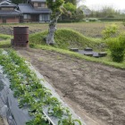 各所に土塁の残片が残る