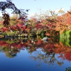 禅林寺永観堂