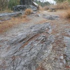 緑泥片岩の岩盤