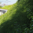 水城館