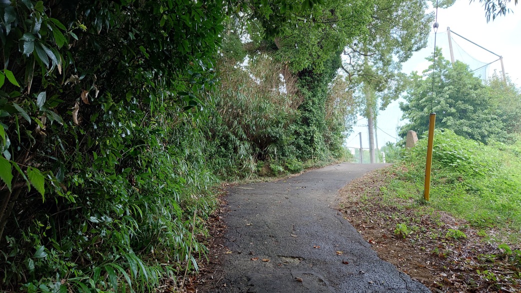 カーブする登城路