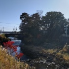 ⑤	山王川より山王神社（篠曲輪）を眺める