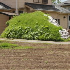 本城土塁