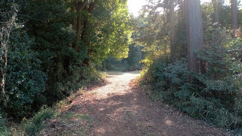 本郭の北虎口と土橋