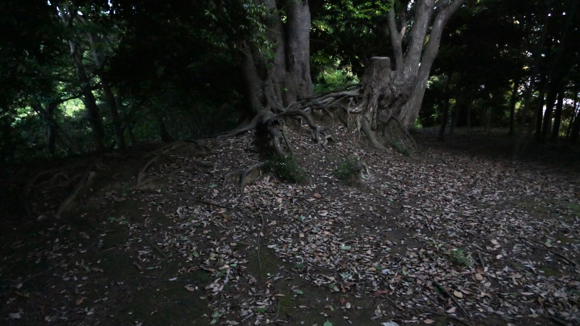 阿王ヶ台公園