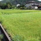 外堀は現在水田、西側より