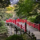 公園内にある橋