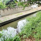 ⑥菅田比売神社付近の水堀