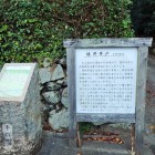 ⑨椿井井戸説明板