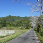 城址遠景