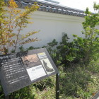 高槻城公園芸術文化劇場周辺