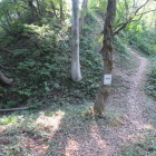 東登城道の堀切