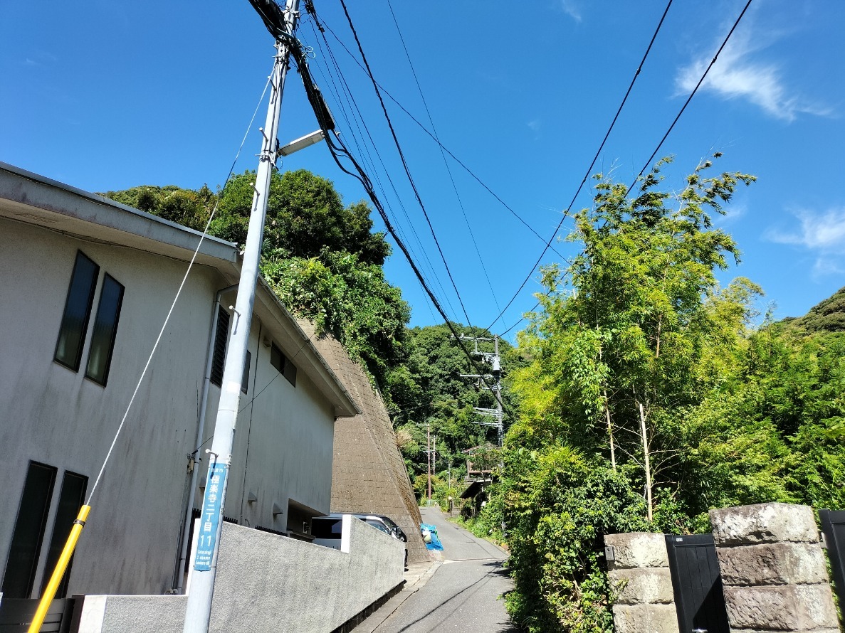 一升桝遺跡遠景(中央奥の山)