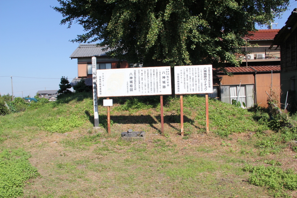 土塁にイチョウの大木と案内板各種