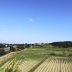 遺跡の遠景（東地区）