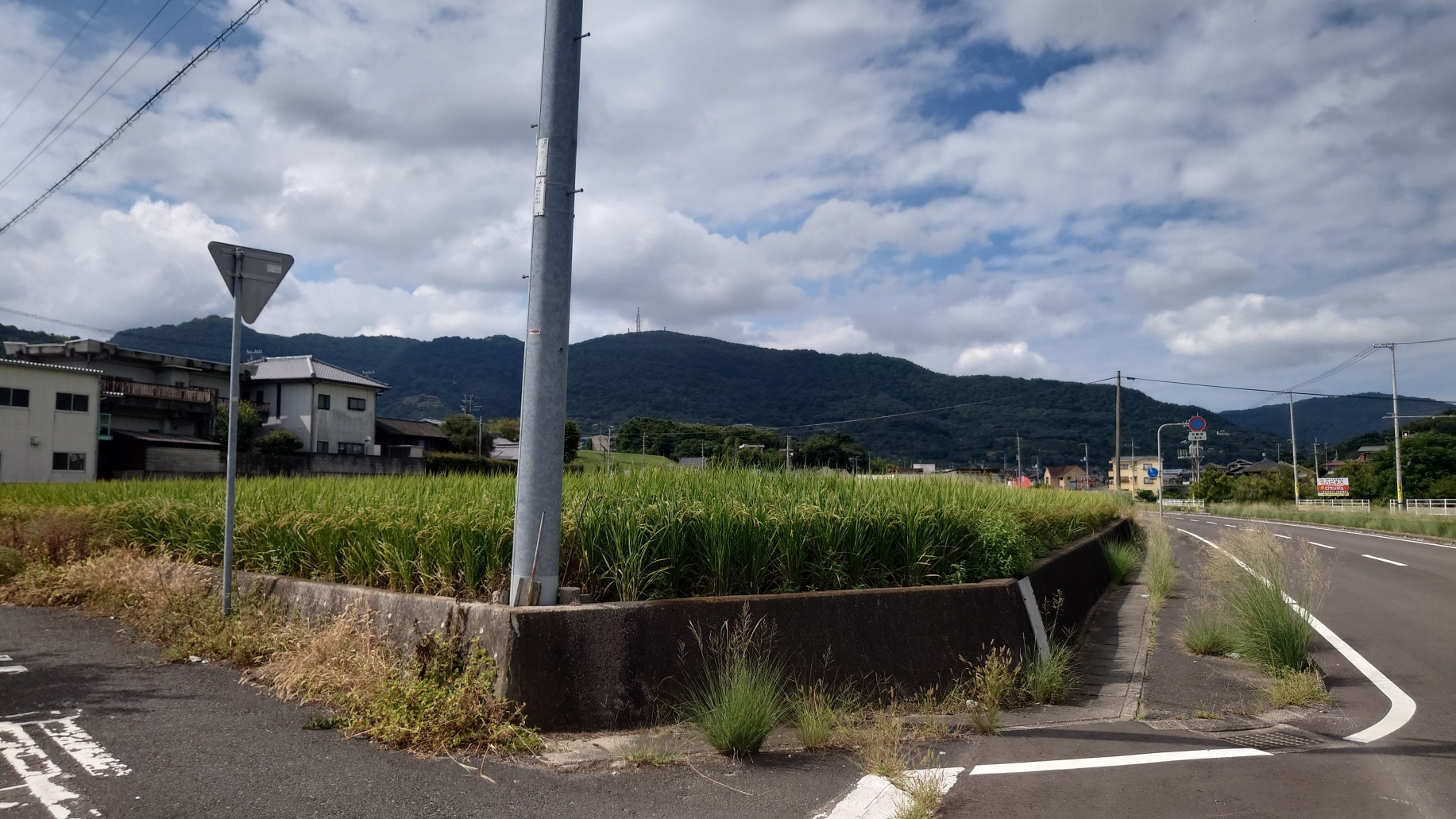 植松城の推定地は水田