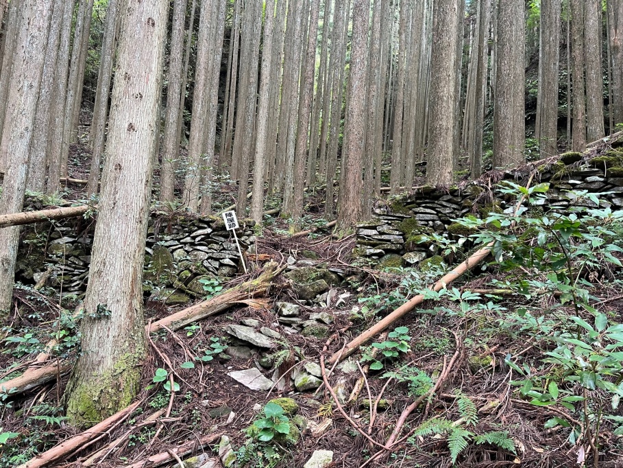 陣屋跡　虎口　両側に石塁