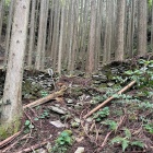 陣屋跡　虎口　両側に石塁