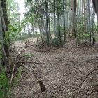 ⑤八坂神社西側の堀