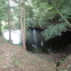 ③中野城手前にある池(水掘かな)