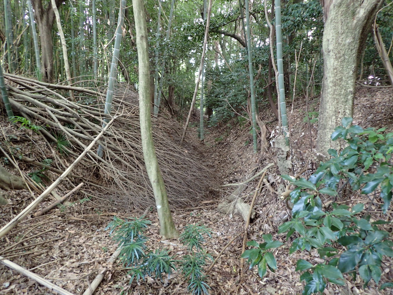 ①八坂神社背後の堀