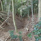 ①八坂神社背後の堀