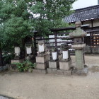 ⑤大隅神社狛犬２