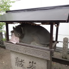 ⑧大隅神社牛