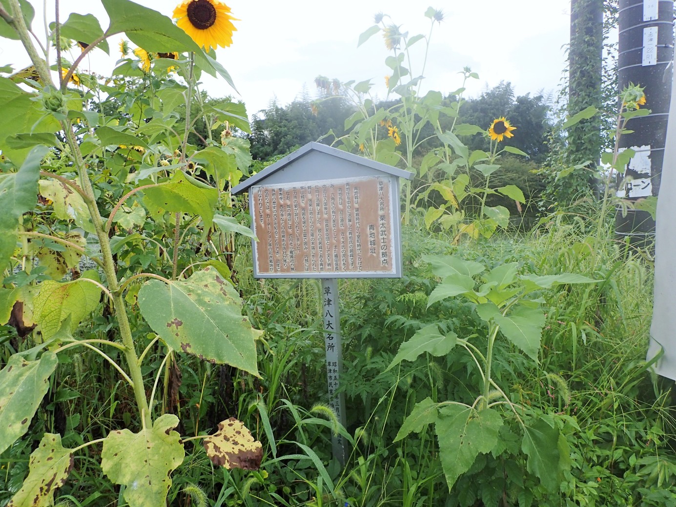 ①青地城説明板