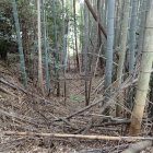 ⑥八坂神社西側に竪堀のようなものが