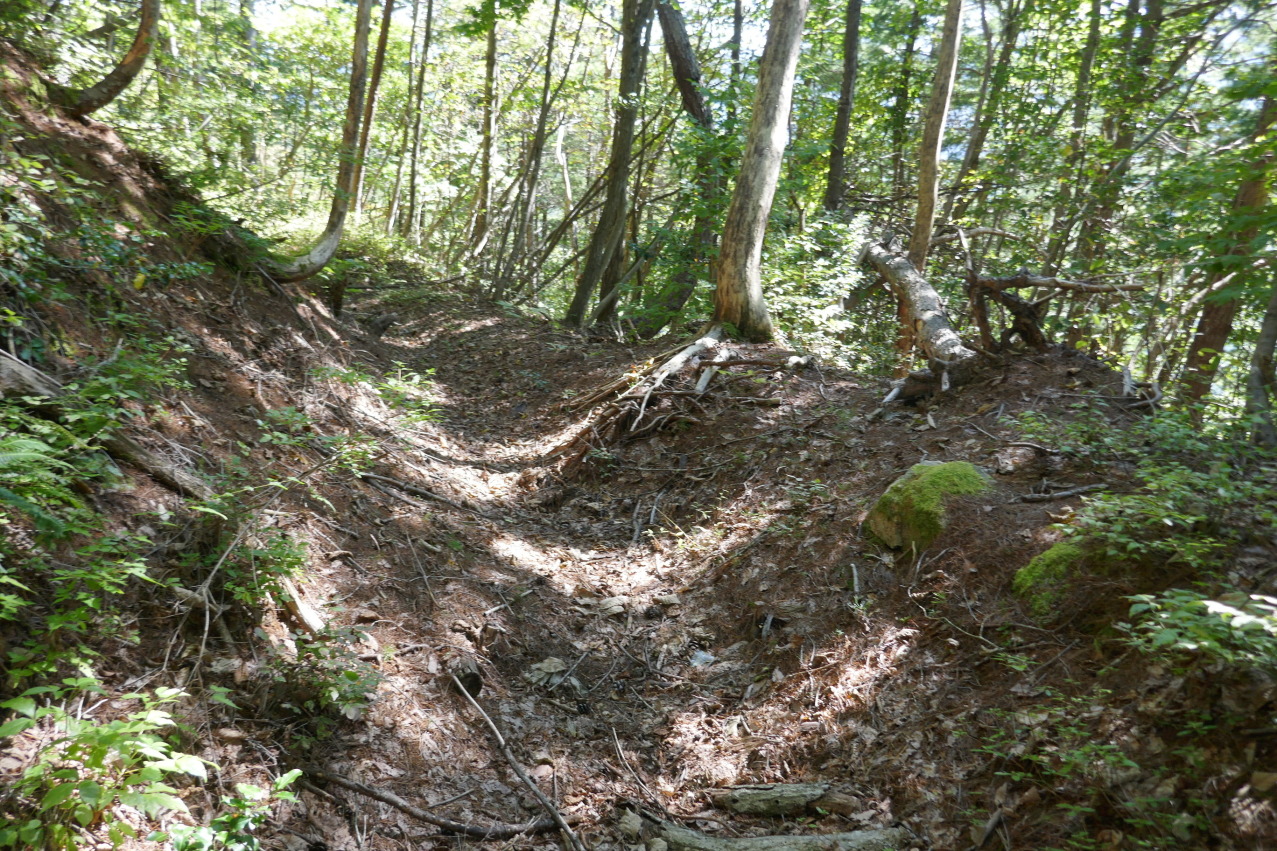 主郭南西の堀・土塁