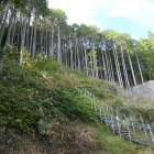 こっちじゃないのよ登城路は　フッフ～