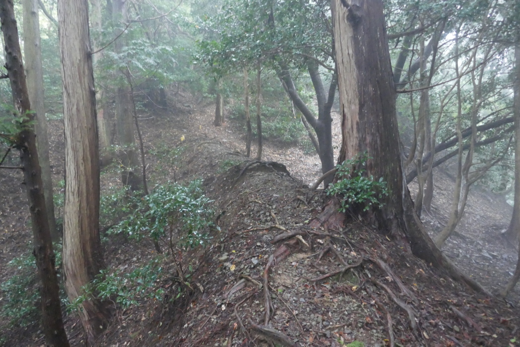 主郭背後の土橋