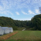 城址遠景