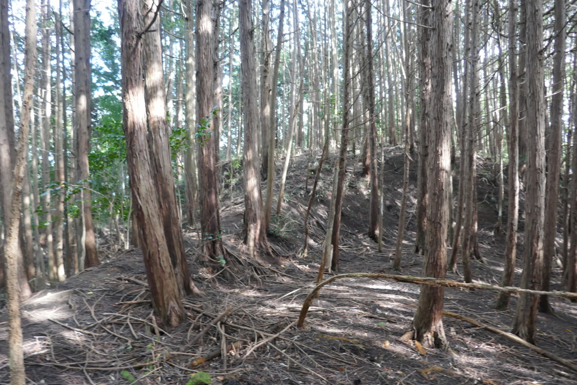 主郭東側の櫓台　土橋