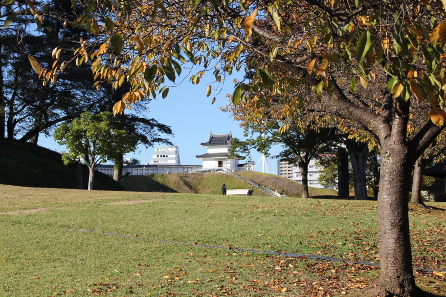 伊賀門辺りより本丸清明台を望む