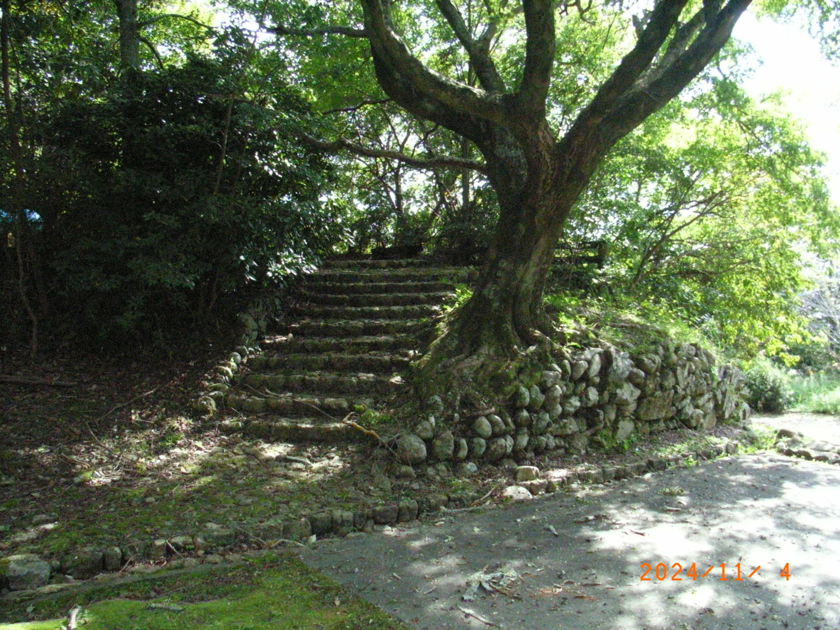 本丸大手門東側土塁石塁南端部